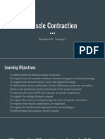 Muscle Contraction: Section G1 - Group 5