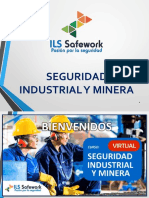 Diapos Modulo01 Seguridad Industrial y Minera