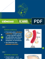 Sistema Endócrino