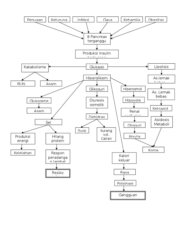 Pathway Diabetes Mellitus | PDF