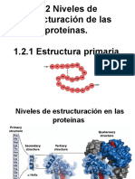 1.2 Niveles de Estructuración de Proteínas