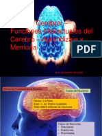 7.corteza Cerebral, Aprendizaje y Memoria