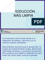 Producción Más Limpia