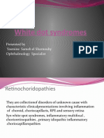 White Dot Syndromes: Presented by Yasmine Sameh El Sharnouby Ophthalmology Specialist