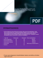 Spermatogenesis Proses