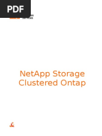 NetApp Clustered Ontap COPI 3.8