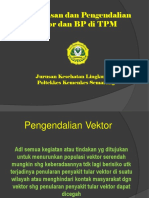 Vektor BP pet. ke 9.pptx