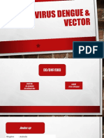 Basic Virus Dengue & Vector