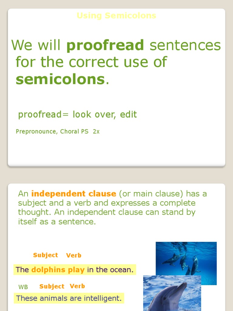 We Will Proofread Sentences For The Correct Use Of: Semicolons | PDF ...