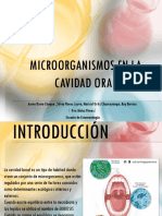 Microorganismos en La Cavidad Oral