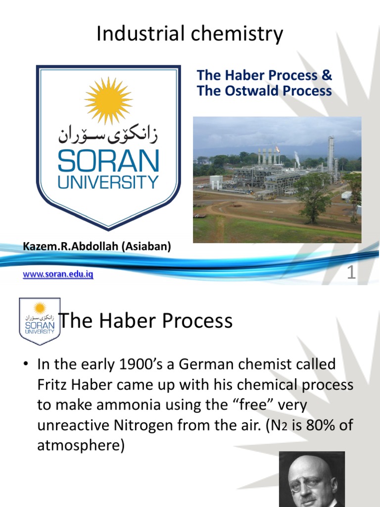 Haber and Ostwald Process Overview | PDF | Nitric Acid | Chemical Reactions