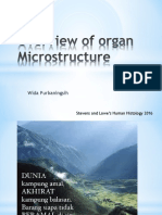 Overview of Organ Microstructure