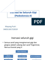 Skema Sistem Nervus Ke Seluruh Gigi