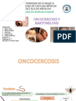 10. Oncocercosis y Bartonelosis