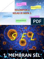 Biologi Sel