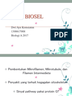 BIOSEL Sitoskeleton