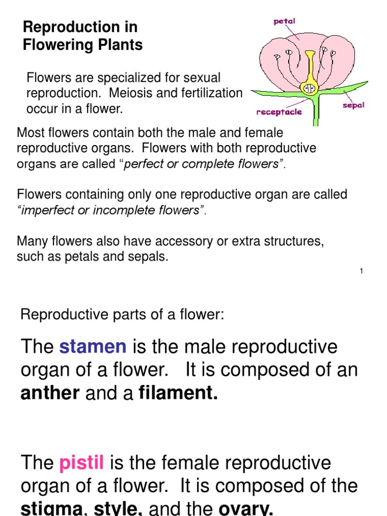 Reproduction in Flowering Plants "Imperfect or Flowers