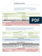 2.apuntes de Morfología