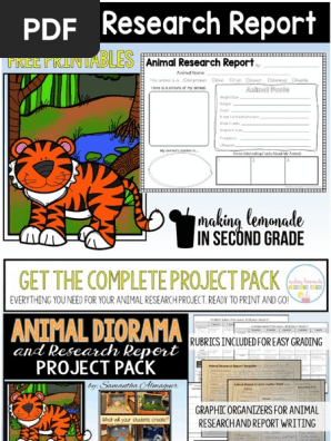 Animal Research Report Prin Tables