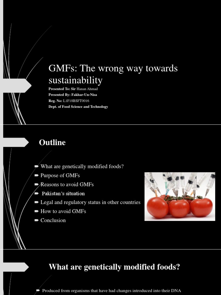 GMFS: The Wrong Way Towards Sustainability | PDF | Wellness