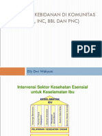 Pelayanan Kebidanan Di Komunitas