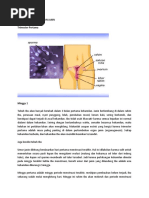 Download TAHAPAN PERKEMBANGAN JANIN by Temenan Nyok SN43271373 doc pdf