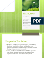 Tumbuhan Kel 6