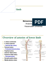 The Lower Limb: Muhammad Iqbal Basri