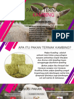 Pakan Ternak Kambing