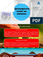 AGRONEGOCIOS COMO SISTEMA.pptx