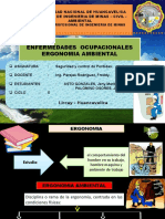 Enfermedades Ocupacionales Ergonomia Ambiental Enfermedades Ocupacionales Ergonomia Ambiental