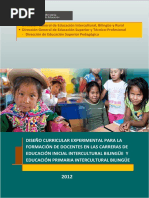 DCExp INIPRIMEBI PDF