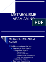 Metabolisme As - Amino