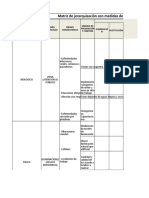 Matriz Jerarquiza Ipvr