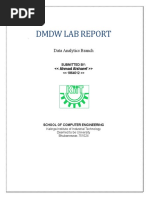 DMDW Lab Report: Data Analytics Branch