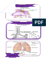 alat pernapasan