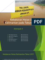 Kebakaran Hutan Di Kalimantan Pada Tahun 2019