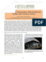 Biology and Conservation of The Freshwater Turtles and Tortoises of Peru