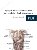 Topografi Viscera Abdomen, Pembuluh Darah Saluran Cerna Dan Hernia