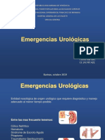 Emerg Urolog
