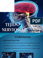 Presentación Tejido Nervioso (1) (1)