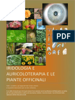 kupdf.net_iridologia-e-auricoloterapia-fitoterapia (1).pdf