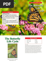 Butterfly Life Cycle