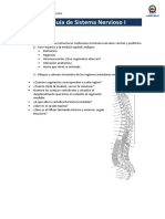 Guia de Sistema Nervioso I PDF