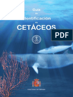 Guía Identificación Cetáceos