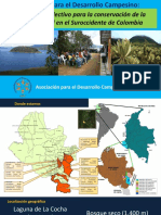 ADC Disueño Colectivo 2019 PDF
