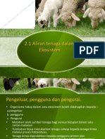 2.1 Aliran tenaga dalam ekosistem.pptx