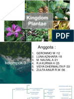 Cladogram Kingdom Plantae