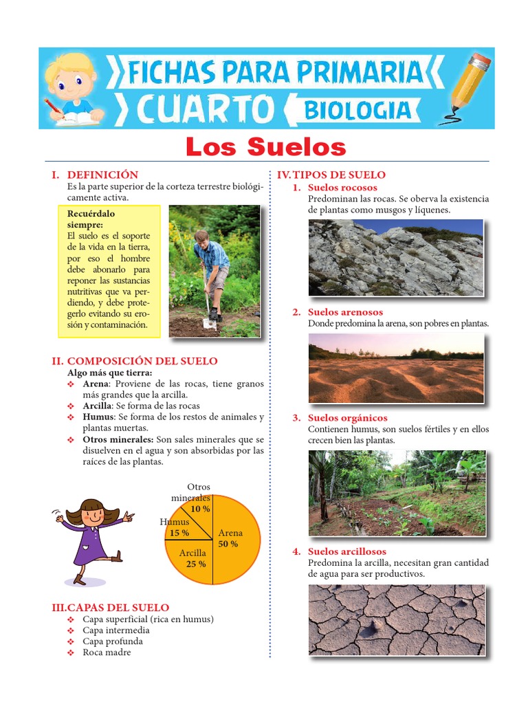 Los Suelos para Cuarto de Primaria 1 PDF | PDF | Suelo | Earth Sciences