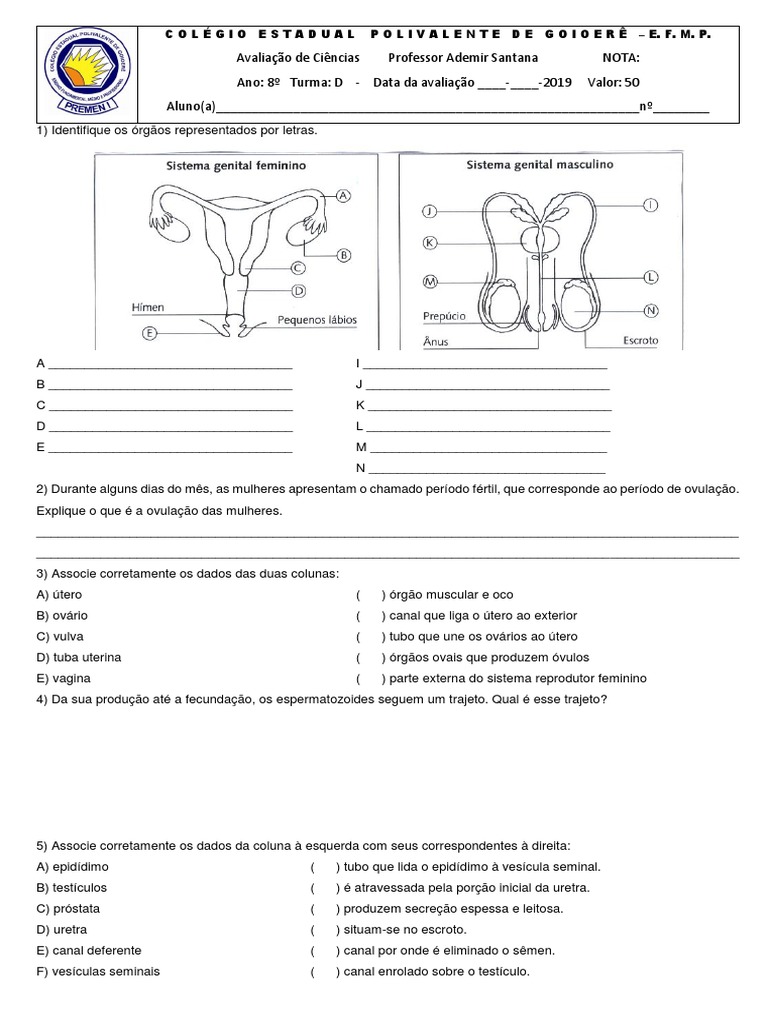 Avaliação de Ciências sobre Sistema Reprodutor Feminino e Masculino ...